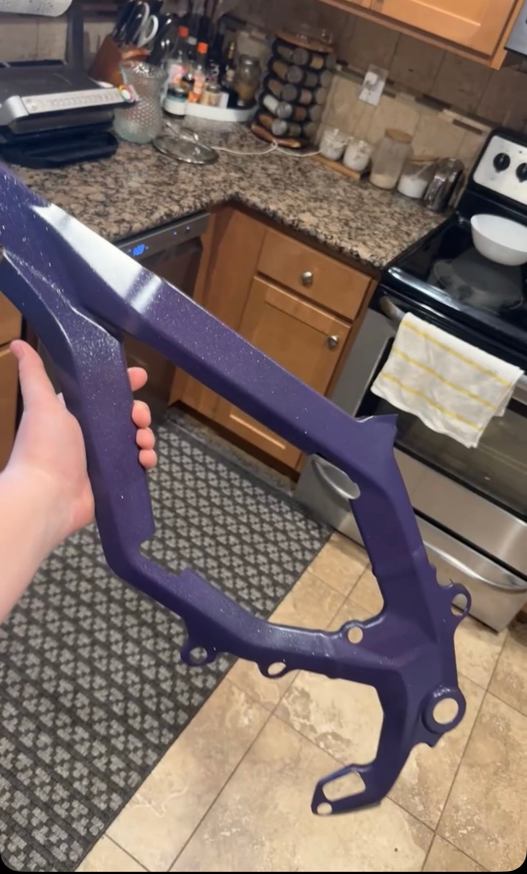 Ultra bee frame guards