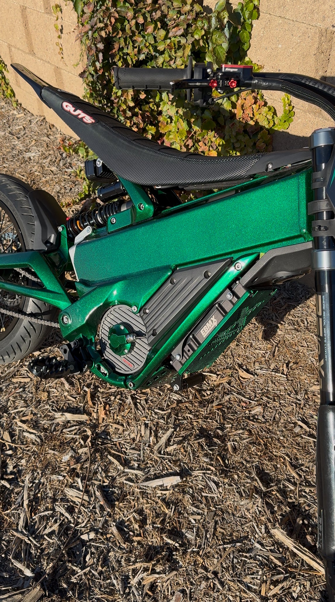 PRE ORDER 3x frame guards