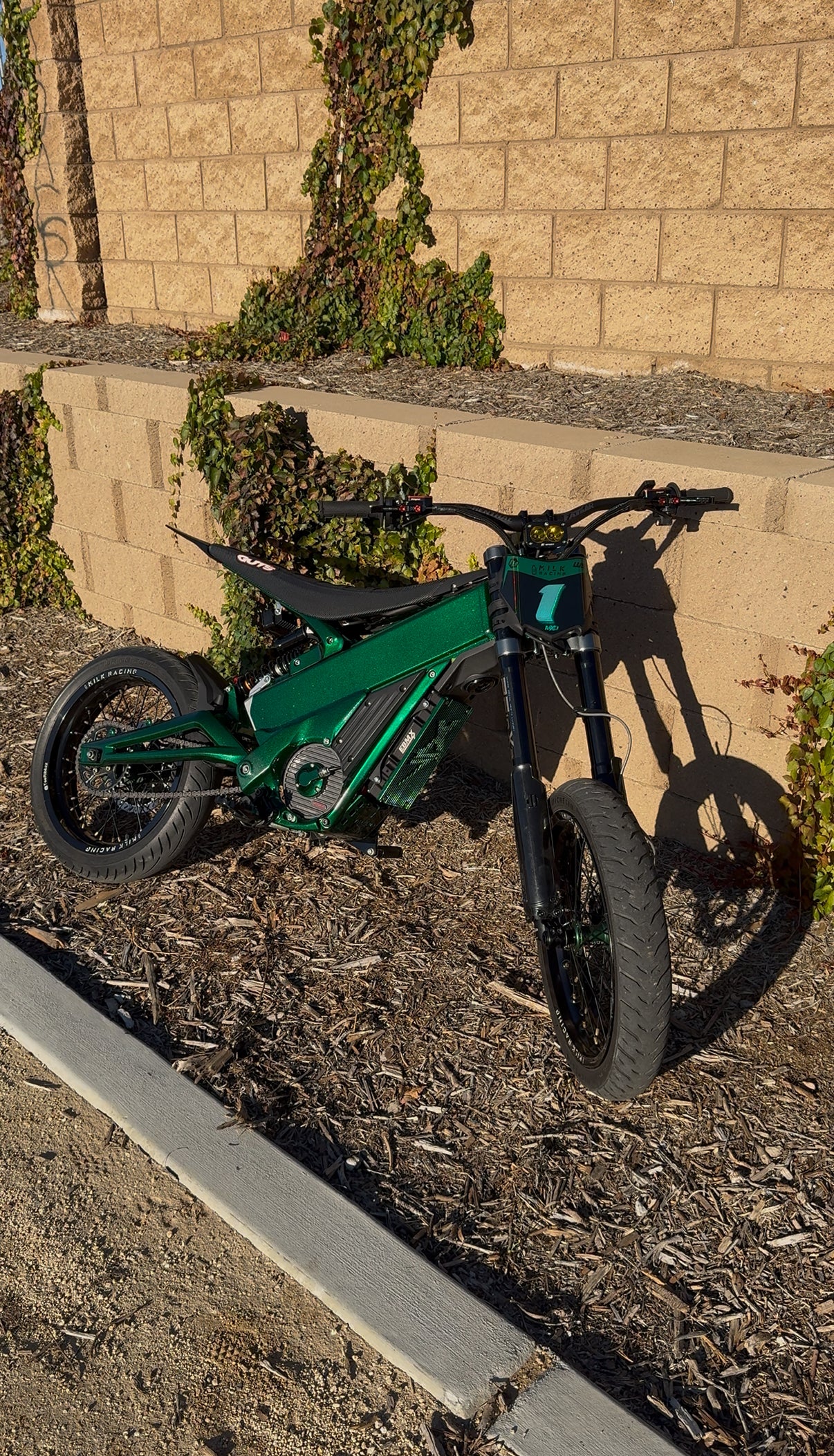 PRE ORDER 3x frame guards